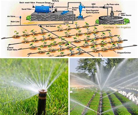 Innovations in Micro-Irrigation Systems