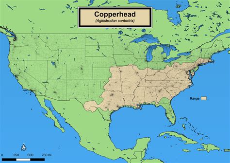 Unveiling The Copperhead Map: A Comprehensive Guide To Understanding ...