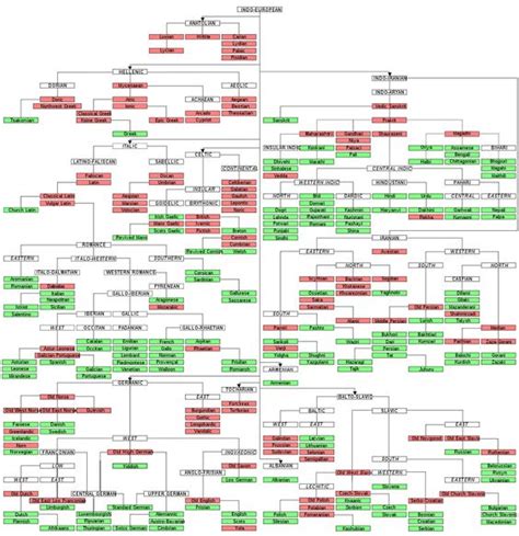 Indo-European Language Tree Infographic | Infographics Blog | Language ...