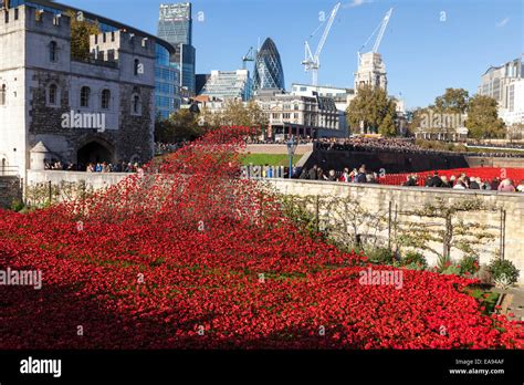 London, UK, 9th November 2014, Remembrance Sunday poppy display at the ...