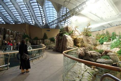 Visitor's Guide to Biodome Montreal