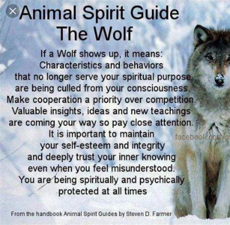 Pin by VilmaV on Wolf Love | Wolf spirit animal, Spirit animal meaning, Wolf spirit