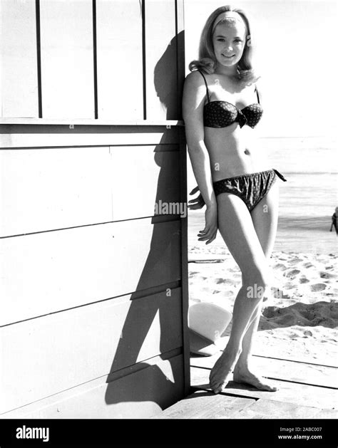 BEACH BLANKET BINGO, Linda Evans, 1965 Stock Photo - Alamy