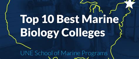 UNE ranked among top colleges and universities for marine science by ...