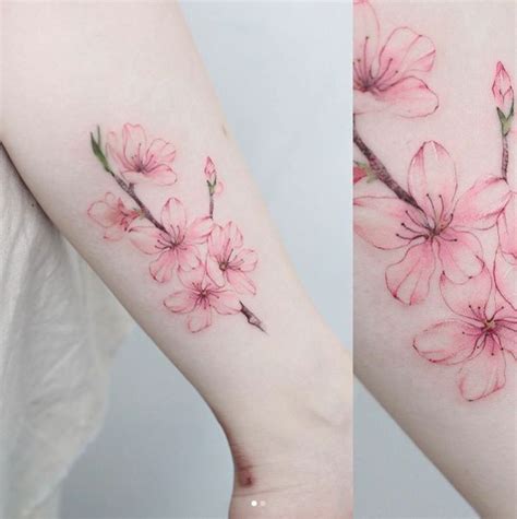 Best 25+ Cherry blossom tattoos ideas on Pinterest | Blossom tattoo, Cherry blossom tattoo ...