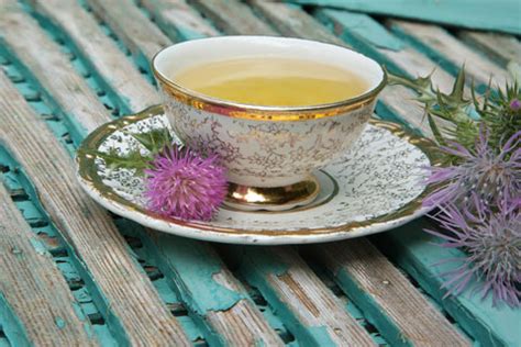 Milk Thistle Tea | MilkThistle.com