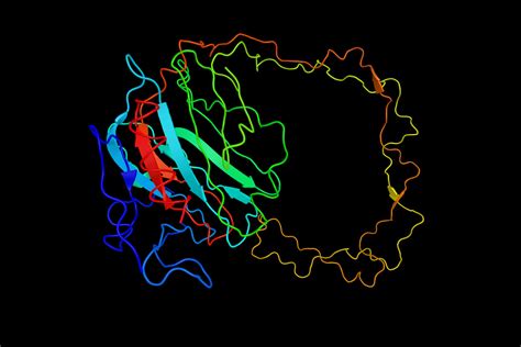 Protein Predictions: New tools to understand these complex structures of life | Twist Bioscience