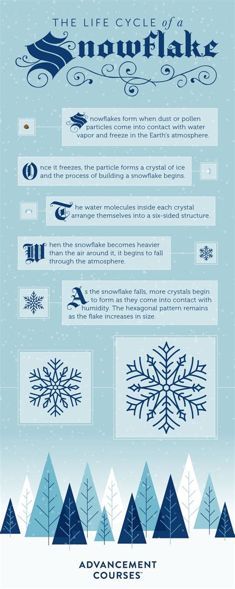 Lesson Plan Inspiration: The Life Cycle of a Snowflake How Are ...