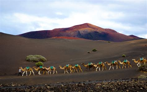 48 hours in. . . Lanzarote, an insider guide to the land of volcanoes and vines - Travelling Base