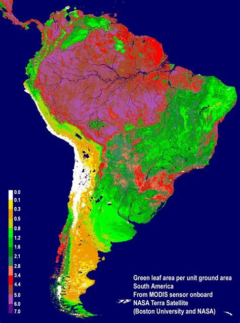 rainforest deforestation global warming - Google Search | Amazon rainforest, Amazon forest ...