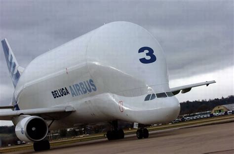 Inside the Airbus Beluga cargo aircraft - Wales Online