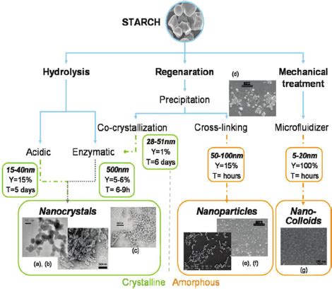 Plant-Derived Nanostructures: Types and Applications (PDF Download Available)