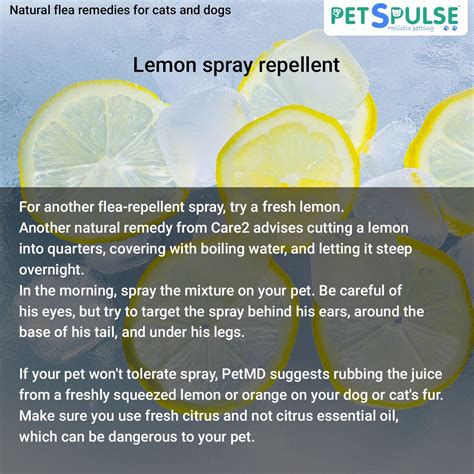 Lemon Juice For Fleas On Dogs