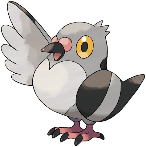 Pidove Pokédex: stats, moves, evolution & locations | Pokémon Database