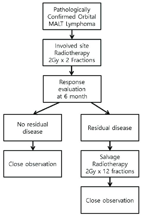 Image showing the treatment protocol. | Download Scientific Diagram