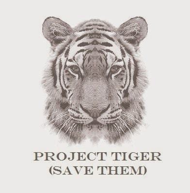 Home for Homeless - Project Tiger - Save Them: Project Tiger by Nishit Parekh