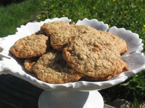 Nestle Oatmeal Scotchies Recipe - Genius Kitchen