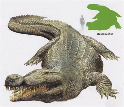 Deinosuchus – dinosaurs killer | DinoAnimals.com