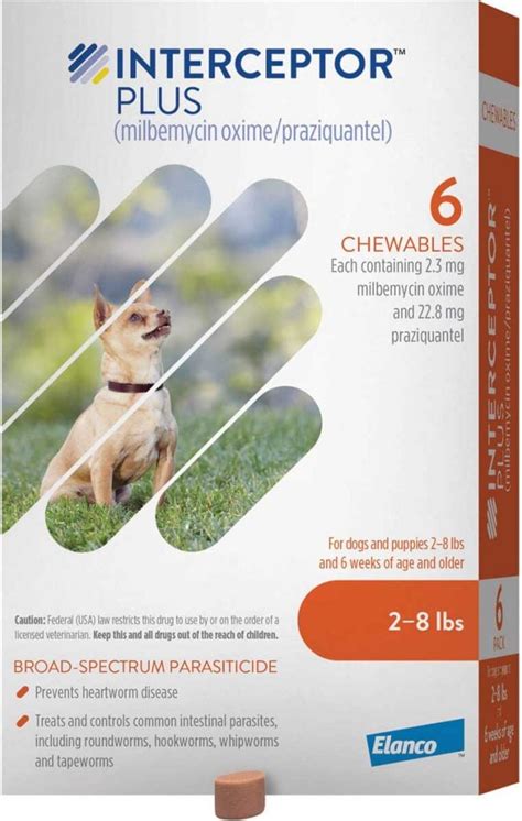 The Best Heartworm Prevention and Treatment for Dogs