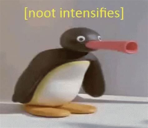 Noot GIF - Noot - Discover & Share GIFs