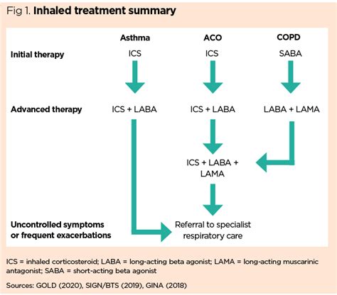 Implementing an asthma and COPD overlap protocol in general practice ...