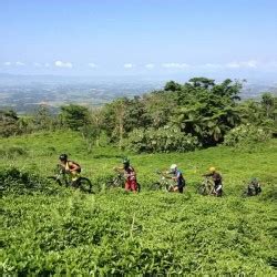 Mount Isarog National Park | Naga City Guide