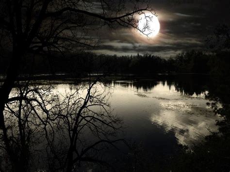 Moonlit Lake | A Haunting We Will Go | Pinterest | Lakes