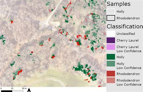 Remote Sensing Rhododendron | 2Excel Geo