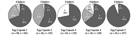 Loligo pealeii. Percent offspring fathered by different males ...