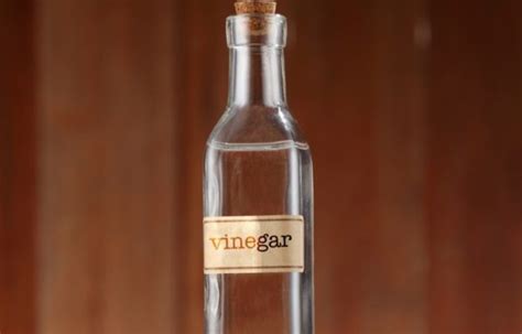 Does Vinegar Kill Mold? How to Get Rid & Prevent Mold from Coming Back