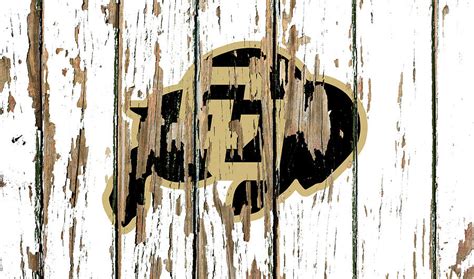 Colorado University College Logo Vintage Peeling Paint Barn Wood Mixed Media by Design Turnpike ...