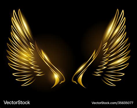 Golden wings on black background Royalty Free Vector Image