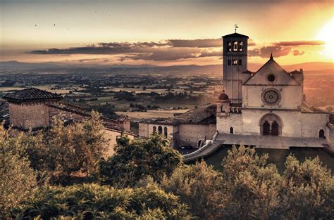 Wines from Umbria: five bottles worth seeking out - Decanter