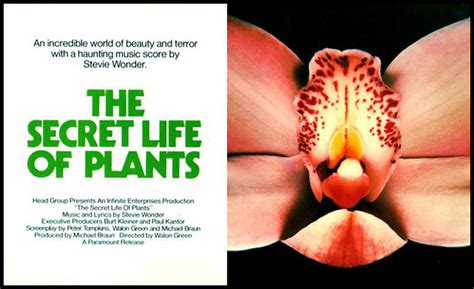 The Secret Life of Plants