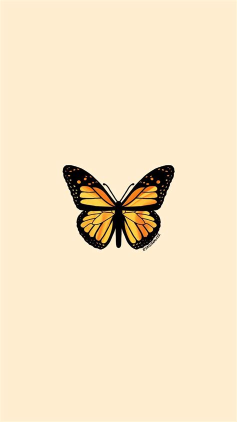 Yellow Orange Butterfly | Butterfly wallpaper, Iphone wallpaper yellow ...