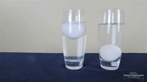 Floating Egg Science Experiment