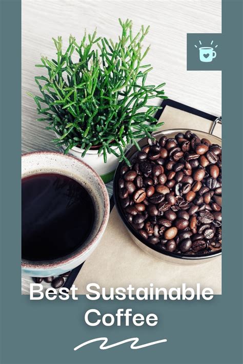 Best sustainable coffee | Coffee health benefits, Coffee flavor, Coffee recipes