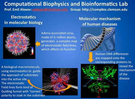 Biophysics