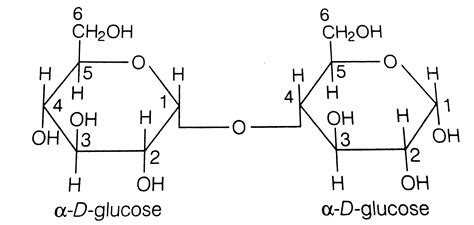 Alpha Vs Beta Linkage