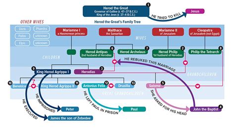 Family tree, Herodian, Bible genealogy