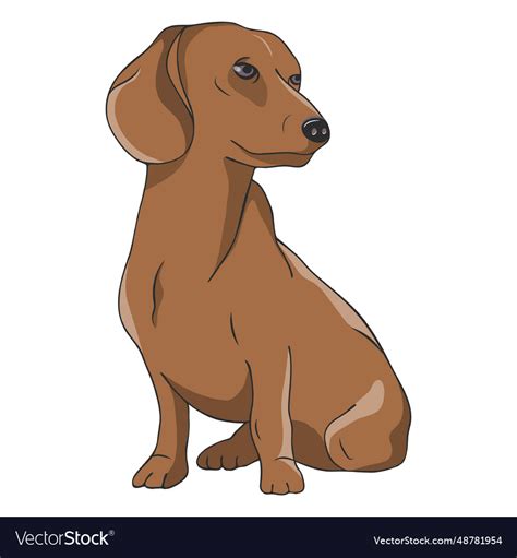 Dachshund dog Royalty Free Vector Image - VectorStock