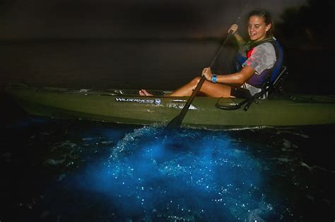 The best spot for bioluminescent kayaking in Florida - Florida Beyond