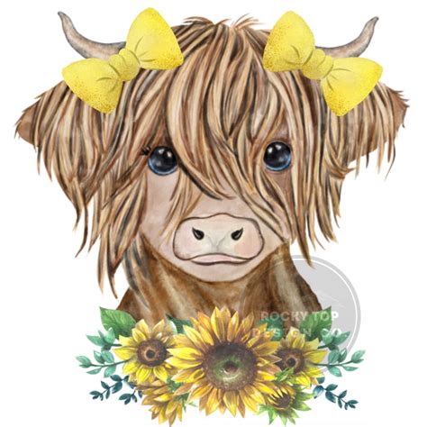 Highland Cow With Sunflowers PNG Digital Download | Etsy