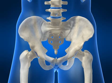 Yoga Insight: Asana Anatomy-Understanding the Sacroiliac Joint