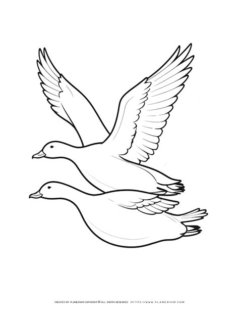 Stunning Coloring Page Featuring Flying Geese Illustration for Relaxation and Artistic Inspiration