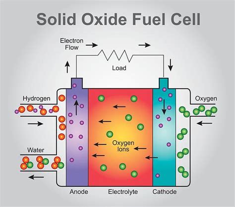 Unleashing the Power of Solid Oxide Fuel Cells: A Comprehensive Analysis of the Global Market ...