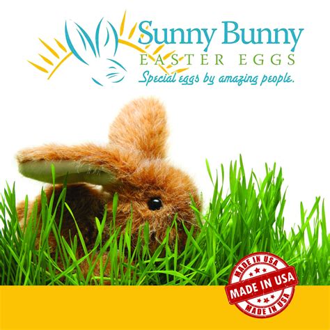 Sunny Bunny Easter Eggs - Home