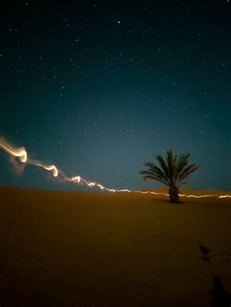 Desert Night Photos, Download The BEST Free Desert Night Stock Photos ...