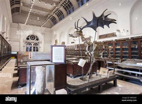 KOLKATA, INDIA - NOVEMBER 24, 2015: The Indian Museum interior. It is ...