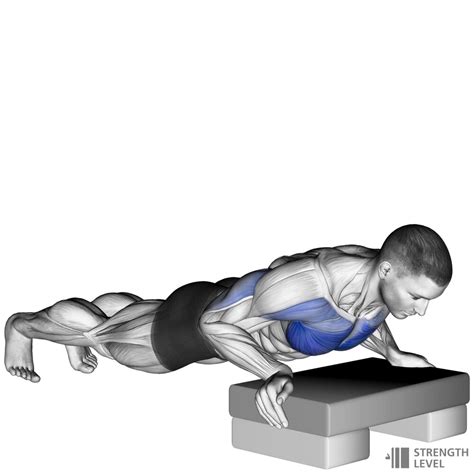 Incline Push Up Standards for Men and Women (kg) - Strength Level